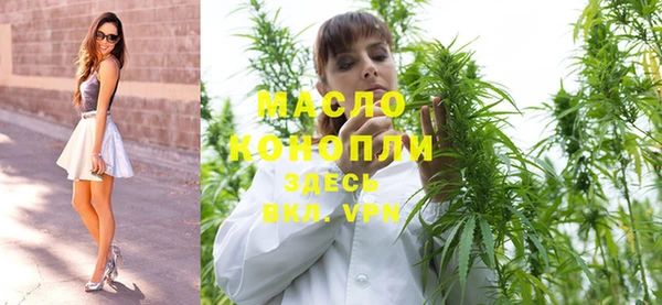 шишки Дегтярск