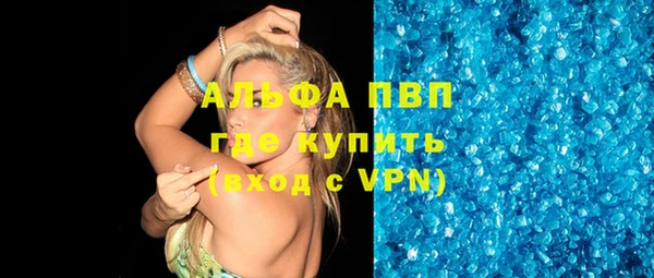 ПСИЛОЦИБИНОВЫЕ ГРИБЫ Инта